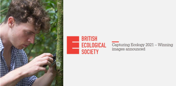 Jack Smith - British Ecological Society - Capturing Ecology 2021