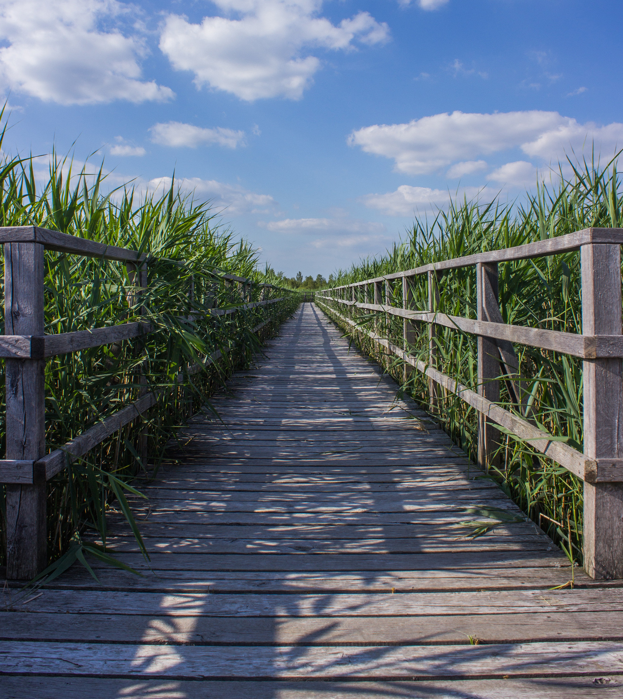 Sky and bridge