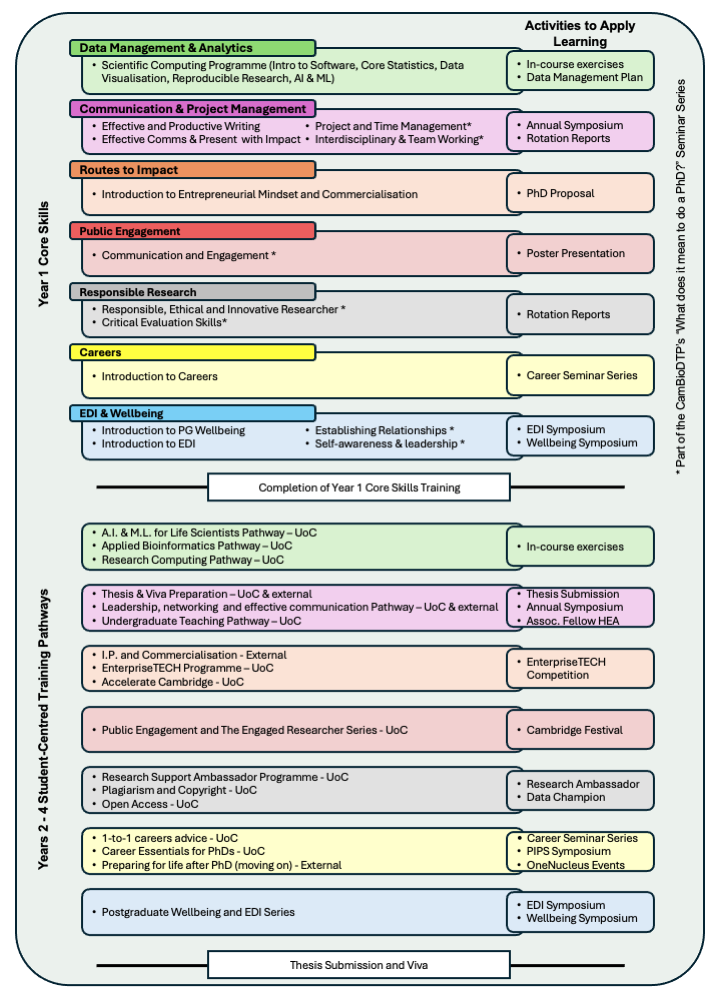 Infographic with details of the training programme