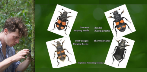 Jack Smith featured on BBC Springwatch