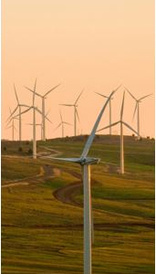 Bioscience for renewable resources and clean growth