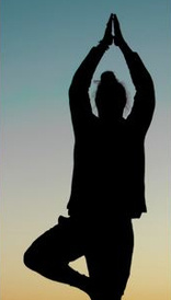 Bioscience for an integrated understanding of health