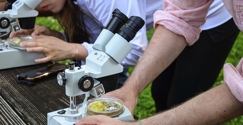 Students outside looking through microscope at plants