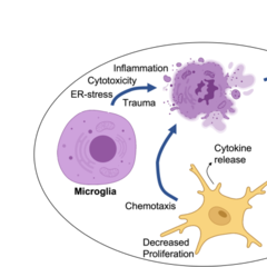 Kyle Reid-Frontiers in Immunology