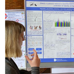 Natalie Wallis - best poster prize - IMS