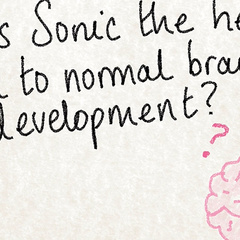 Sonic the Headhog and the Brain presentation slide