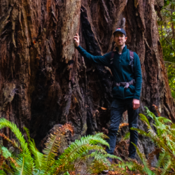 William Boxall at Redwood National Park