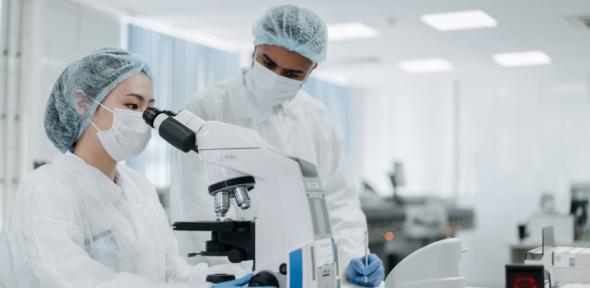 Researchers conducting experiments in a laboratory